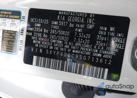 2025 Kia Telluride S z USA, uszkodzony, nr VIN 5XYP6DGC9SG713612